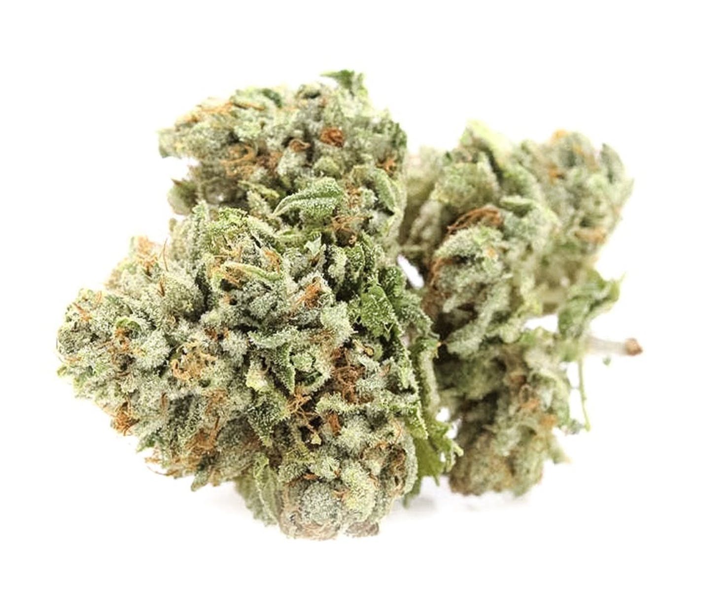 marijuana-dispensaries-7520-foothill-blvd-tujunga-skywalker-og-5g-40-40