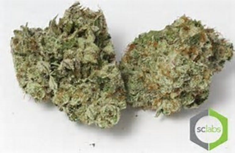 marijuana-dispensaries-13659-magnolia-ave-corona-skywalker-og-premium-5g-40-2435