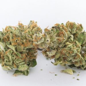 Skywalker OG | Source Cannabis