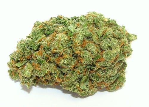 marijuana-dispensaries-4845-van-gordon-st-wheat-ridge-skywalker-og-tax-included