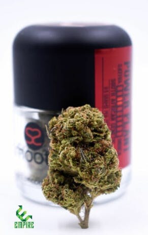 marijuana-dispensaries-569-searls-ave-nevada-city-smooth-power-plant-3-5g-21-59-25thc