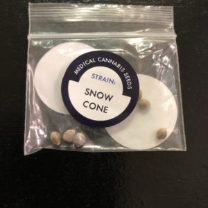 Sno Cone/pack of 10 seeds
