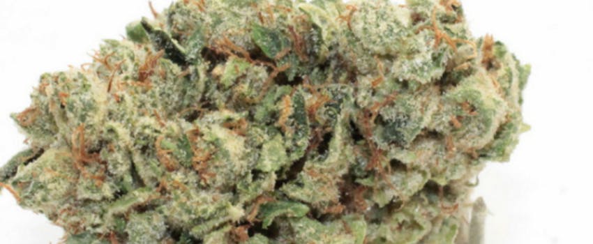 marijuana-dispensaries-11638-victory-blvd-north-hollywood-snoop-dogg-og-top-shelf