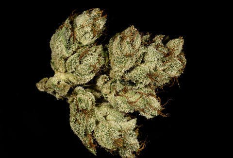 marijuana-dispensaries-green-lady-24-hours-in-chula-vista-snoop-dogg-og