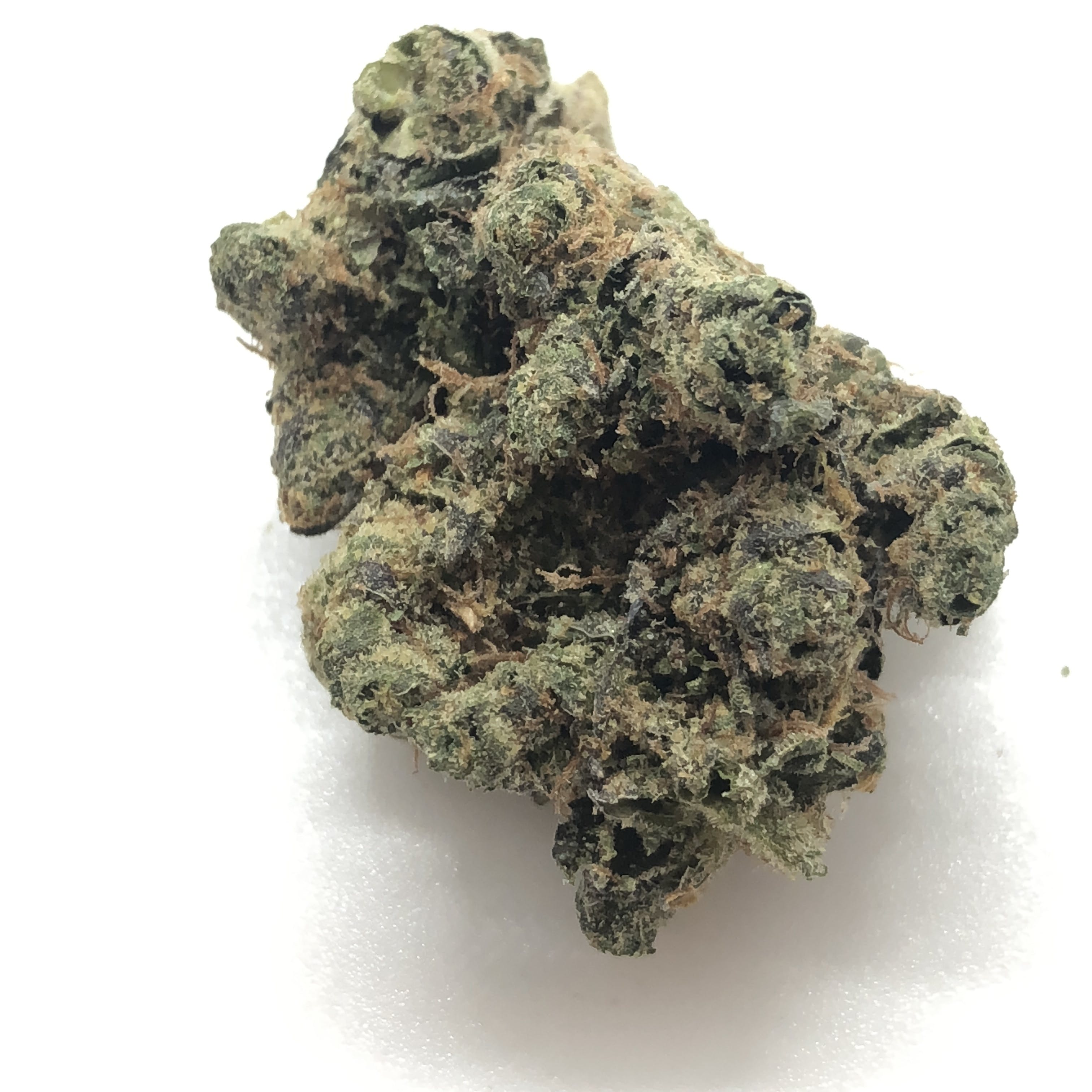 marijuana-dispensaries-8762-pico-blvd-los-angeles-snoop-o-g-exclusive