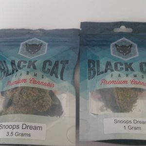 Snoops Dream by Black Cat Farms