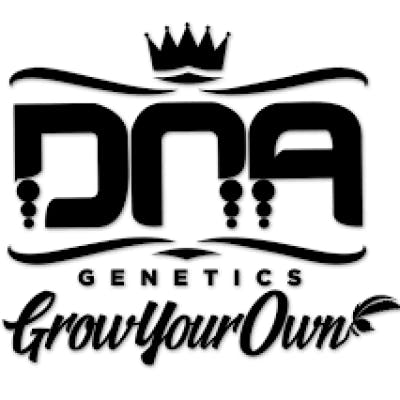 Snow Cone by DNA Genetics - Heritage Collection
