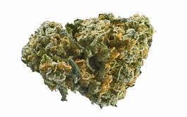 marijuana-dispensaries-universal-herbs-jason-in-denver-snow-quake
