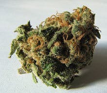 marijuana-dispensaries-1301-marion-st-denver-snowball-grams