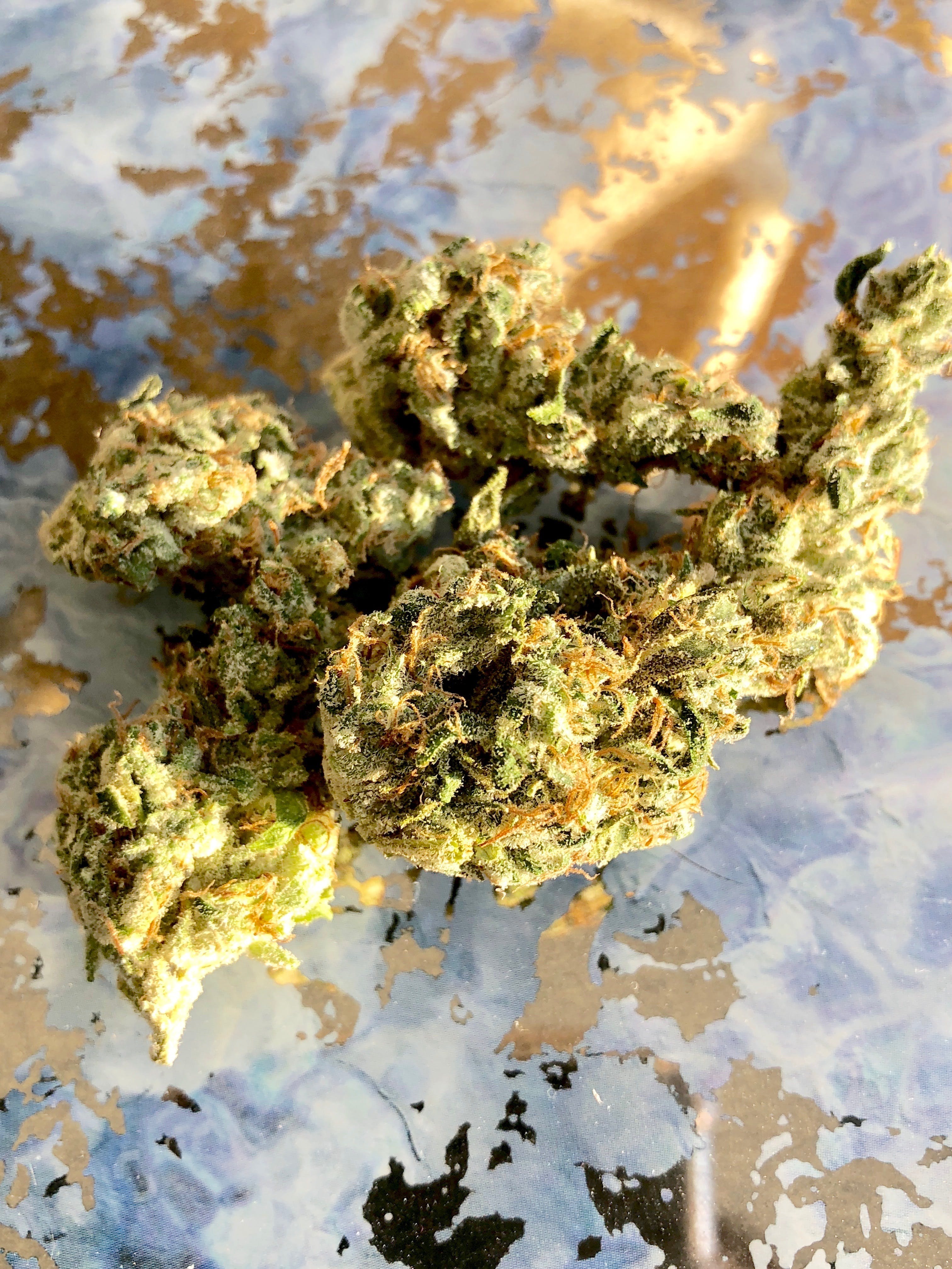 marijuana-dispensaries-395-bloomfield-ave-montclair-snowdawg