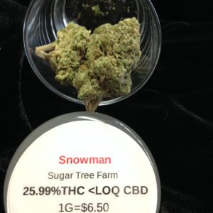 Snowman by Sugar Tree Farm