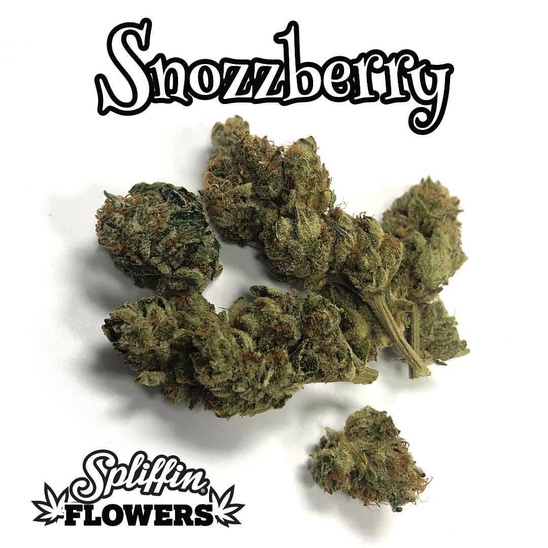 Snozzberry - Spiffin