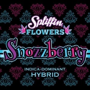 Snozzberry - Spliffin