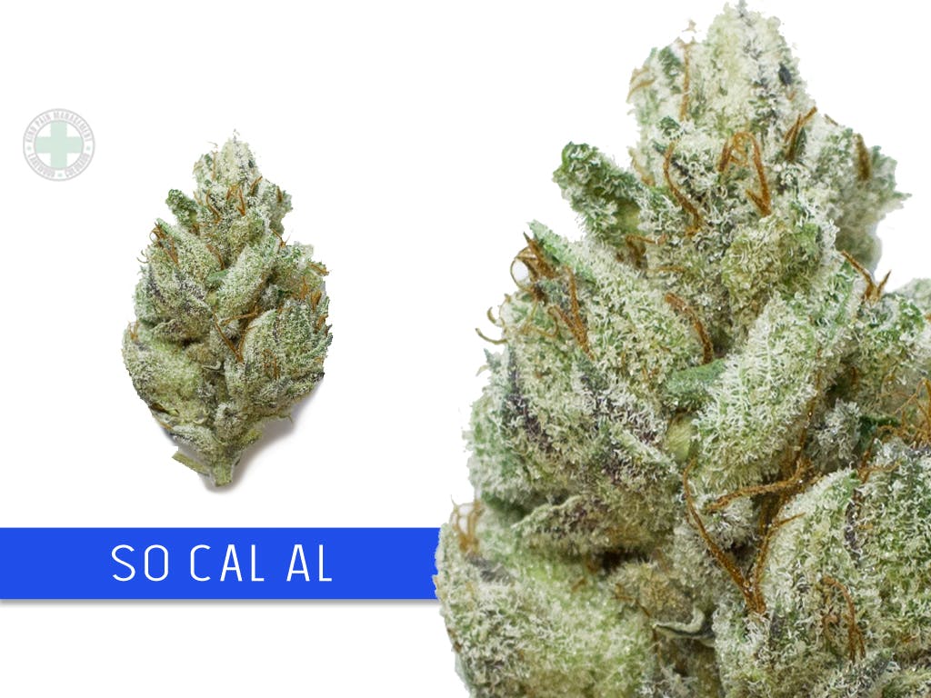 marijuana-dispensaries-kind-pain-management-medical-only-in-lakewood-so-cal-al