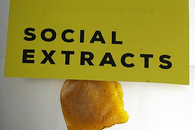 SOCIAL EXTRACTS- VARIETY