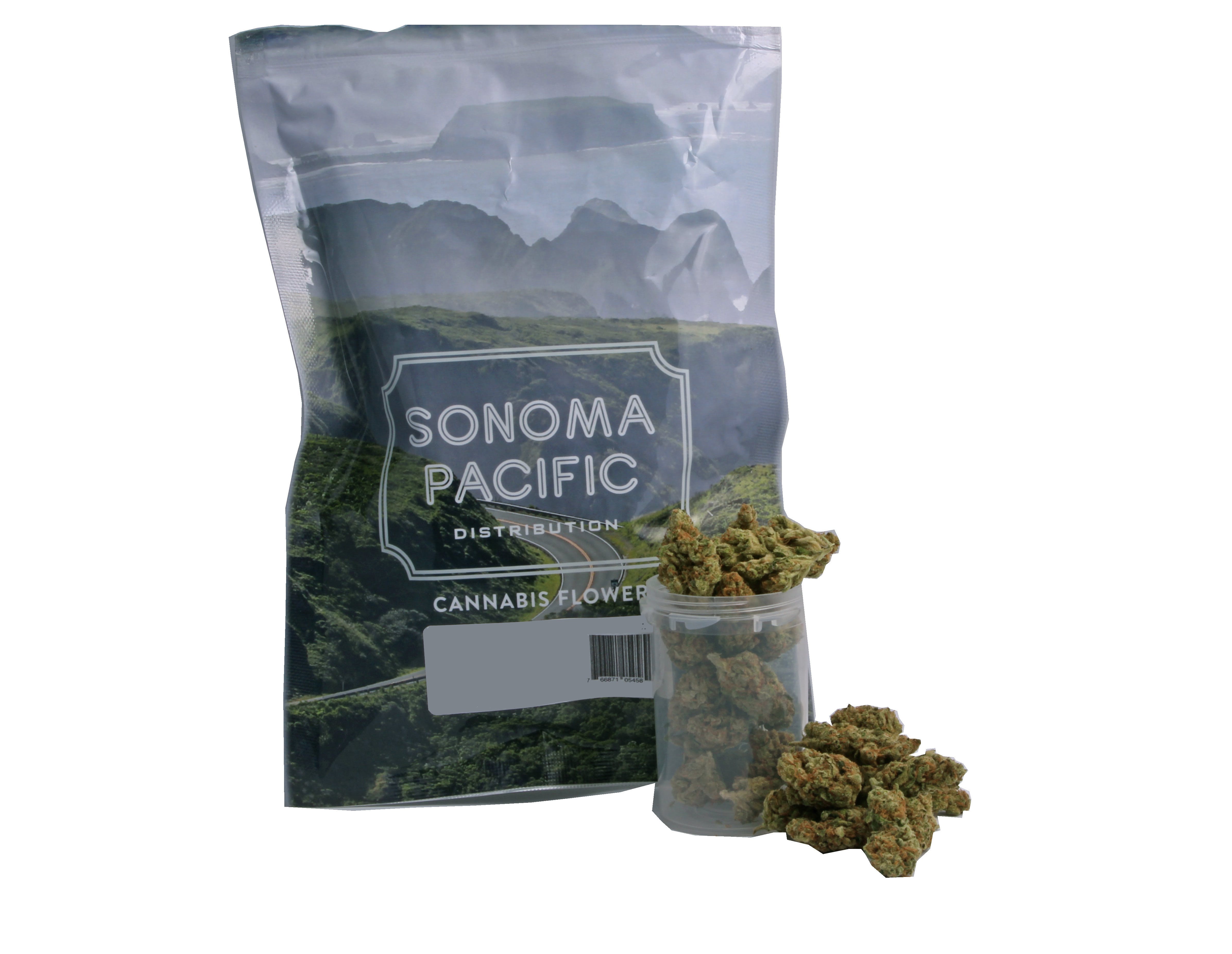 hybrid-sonoma-pacific-guilded-lime-personal-12-oz