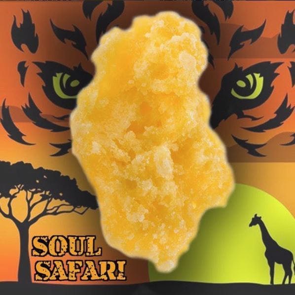 Soul Safari