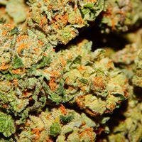 marijuana-dispensaries-hello-wellness-in-pinconning-sour-alien