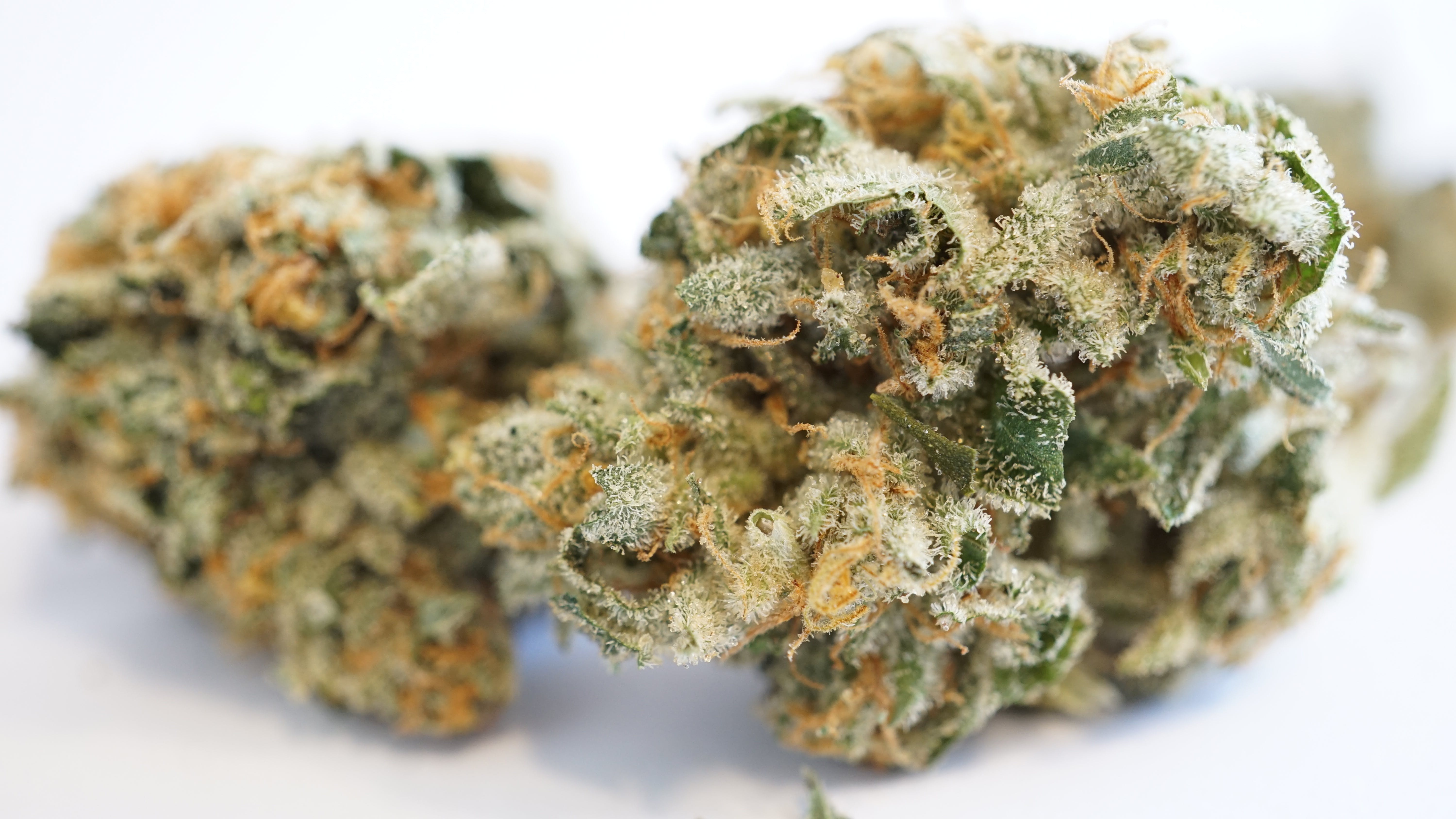 marijuana-dispensaries-9291-baltimore-national-pike-ellicott-city-sour-bobby-by-natures-heritage