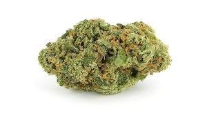 Sour Cheese *Private Reserve*