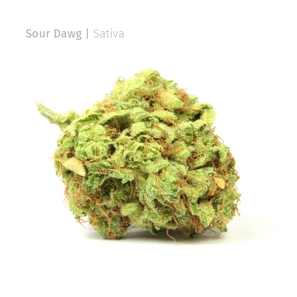 marijuana-dispensaries-3692-e-bijou-st-colorado-springs-sour-dawg-house-strain