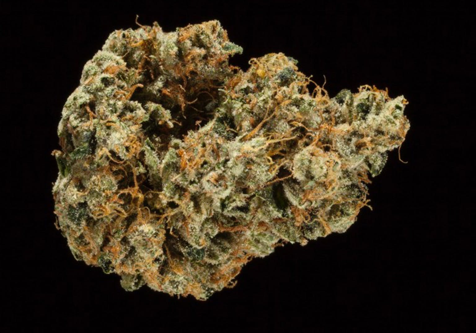 marijuana-dispensaries-612-north-hoover-los-angeles-sour-diesel-fuma