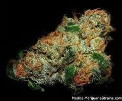 marijuana-dispensaries-cap-city-express-in-north-hollywood-sour-diesel-top-shelf