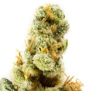 marijuana-dispensaries-1625-e-st-gertrude-place-santa-ana-sour-diesel-x-lemon-kush-si-26-9-25thc-american-research