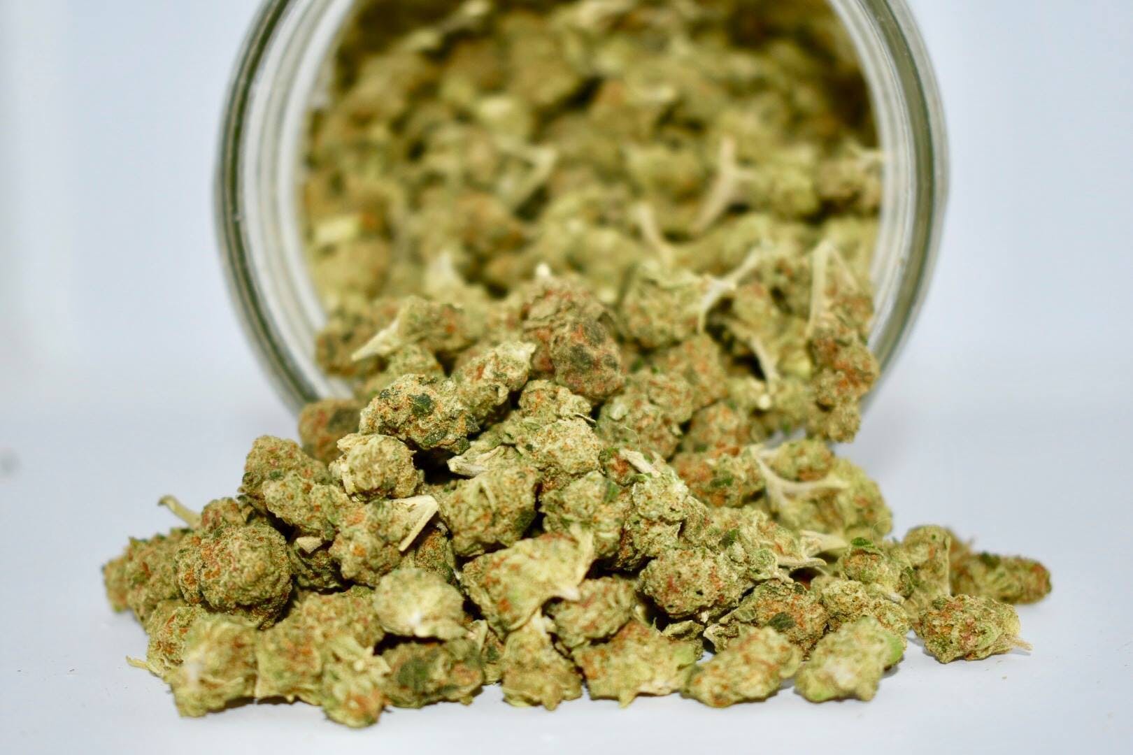 marijuana-dispensaries-healing-tree-wellness-center-in-detroit-sour-dough