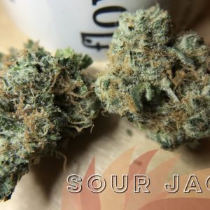 Sour Jack - from Curio