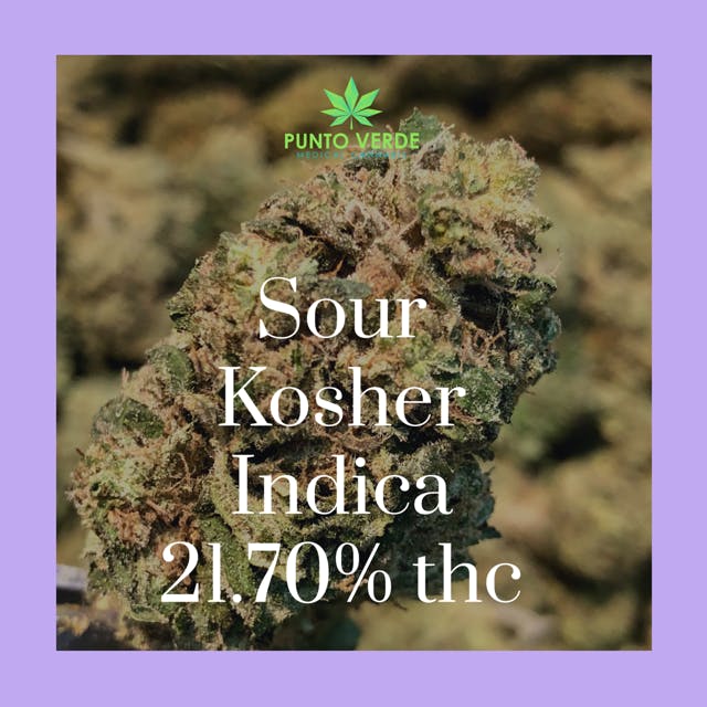 SOUR KOSHER 21.70% THC