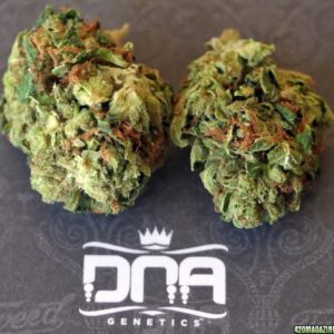 Sour Kush by DNA Genetics/Loudpack
