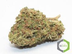 marijuana-dispensaries-13659-magnolia-ave-corona-sour-skunk-premium-5g-40-2430