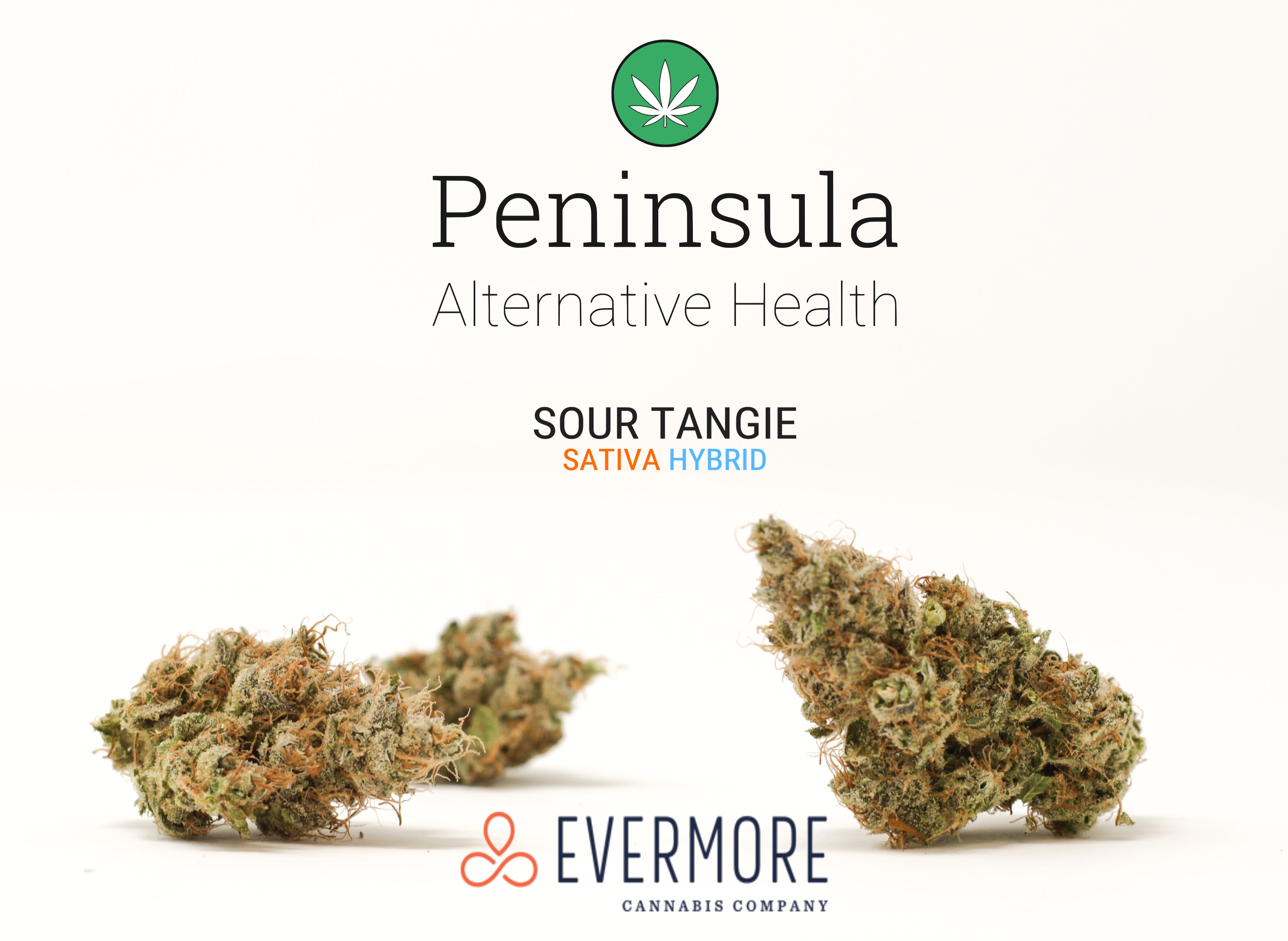 marijuana-dispensaries-peninsula-alternative-health-in-salisbury-sour-tangie-by-evermore