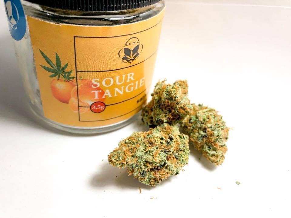 marijuana-dispensaries-herban-farmer-in-colorado-springs-sour-tangie