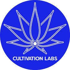 Space Cake - Cutivation Labs