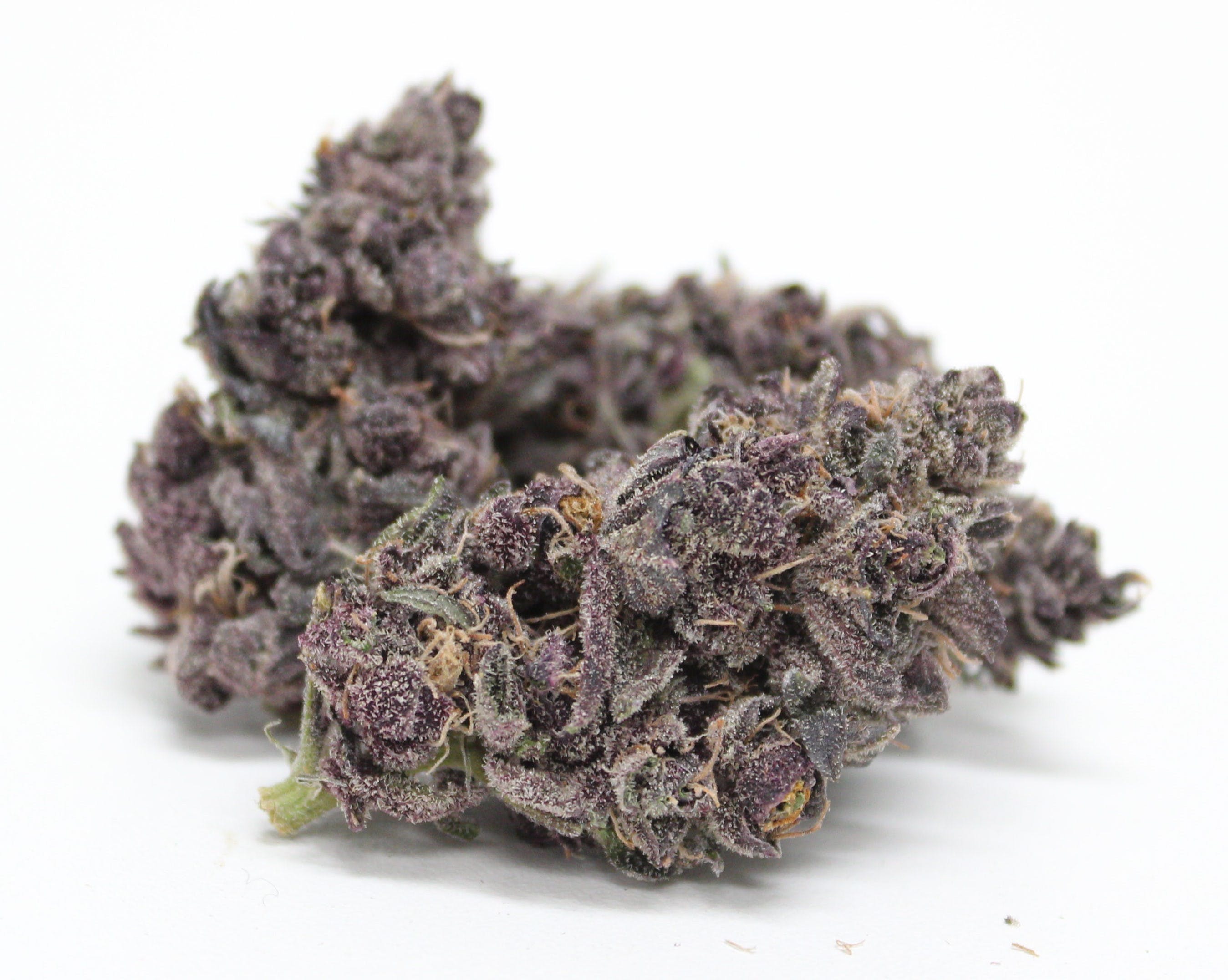 marijuana-dispensaries-20561-dwyer-st-detroit-space-ghost-purple-special-2410g