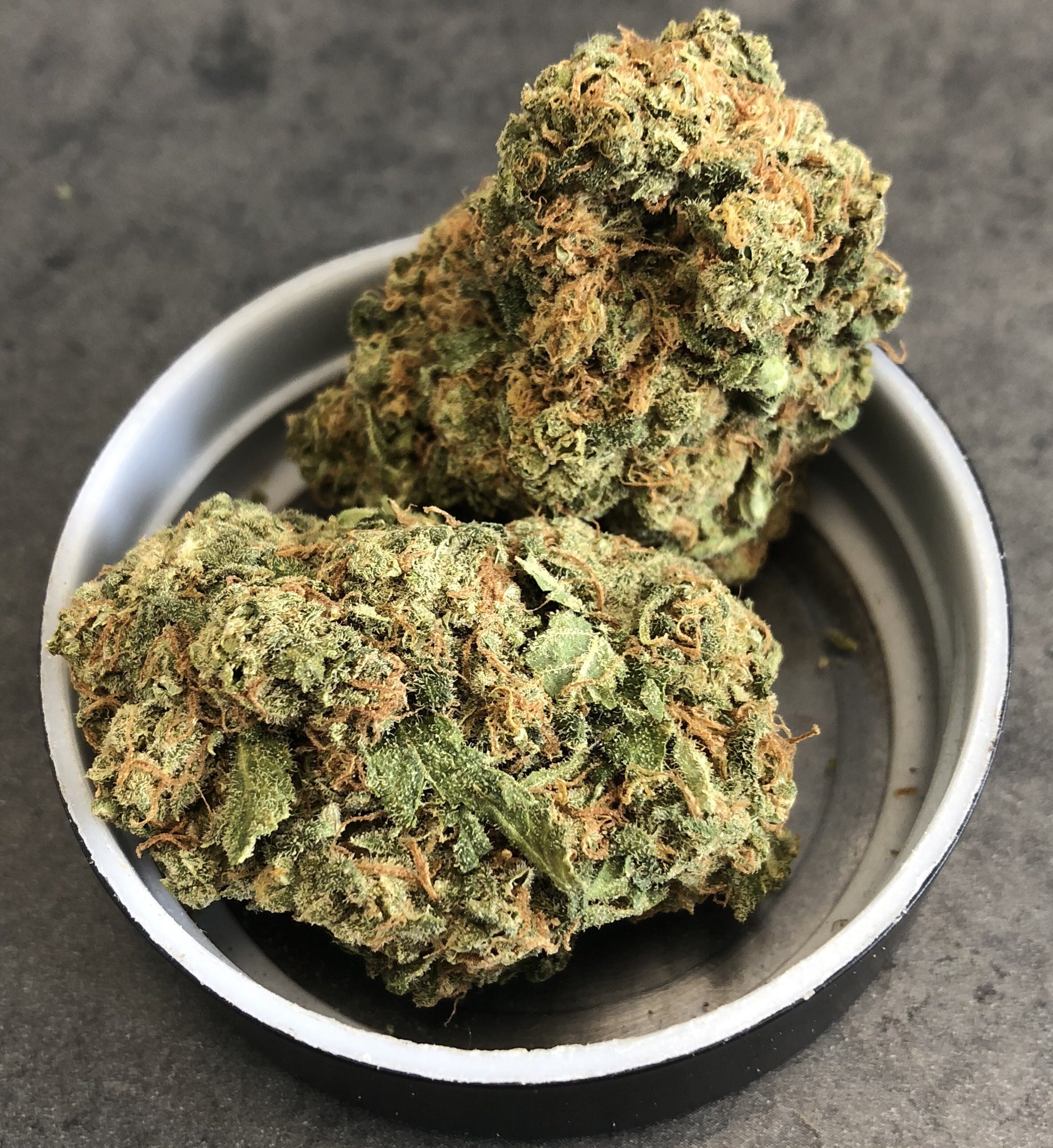 marijuana-dispensaries-487-rideau-st-ottawa-space-romulan-s