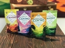 Sparkling Pear - Camino Gummies