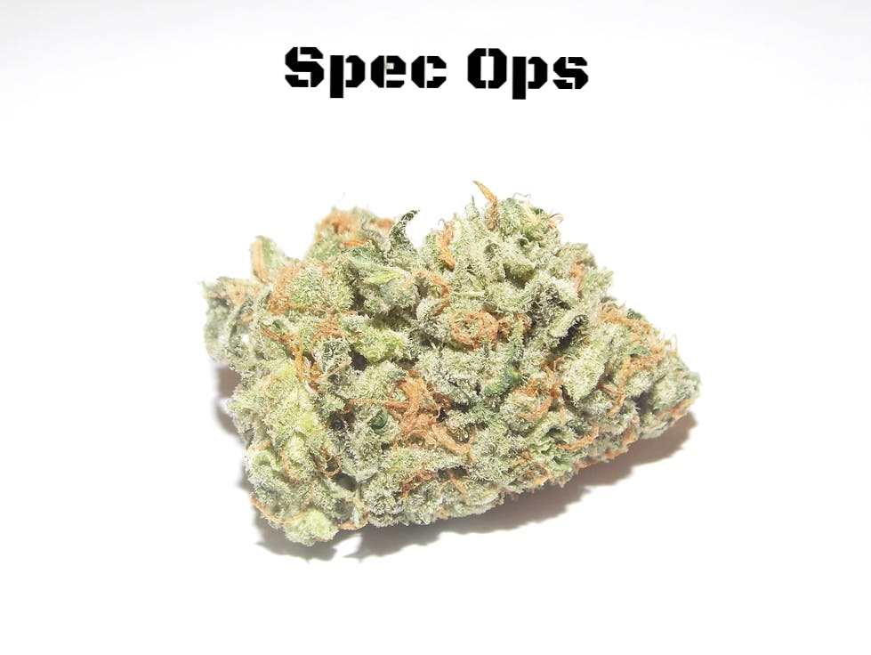 marijuana-dispensaries-herban-farmer-in-colorado-springs-spec-ops