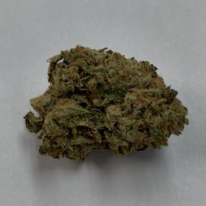 *SPECIAL* BARRACUDA (6G FOR $35)