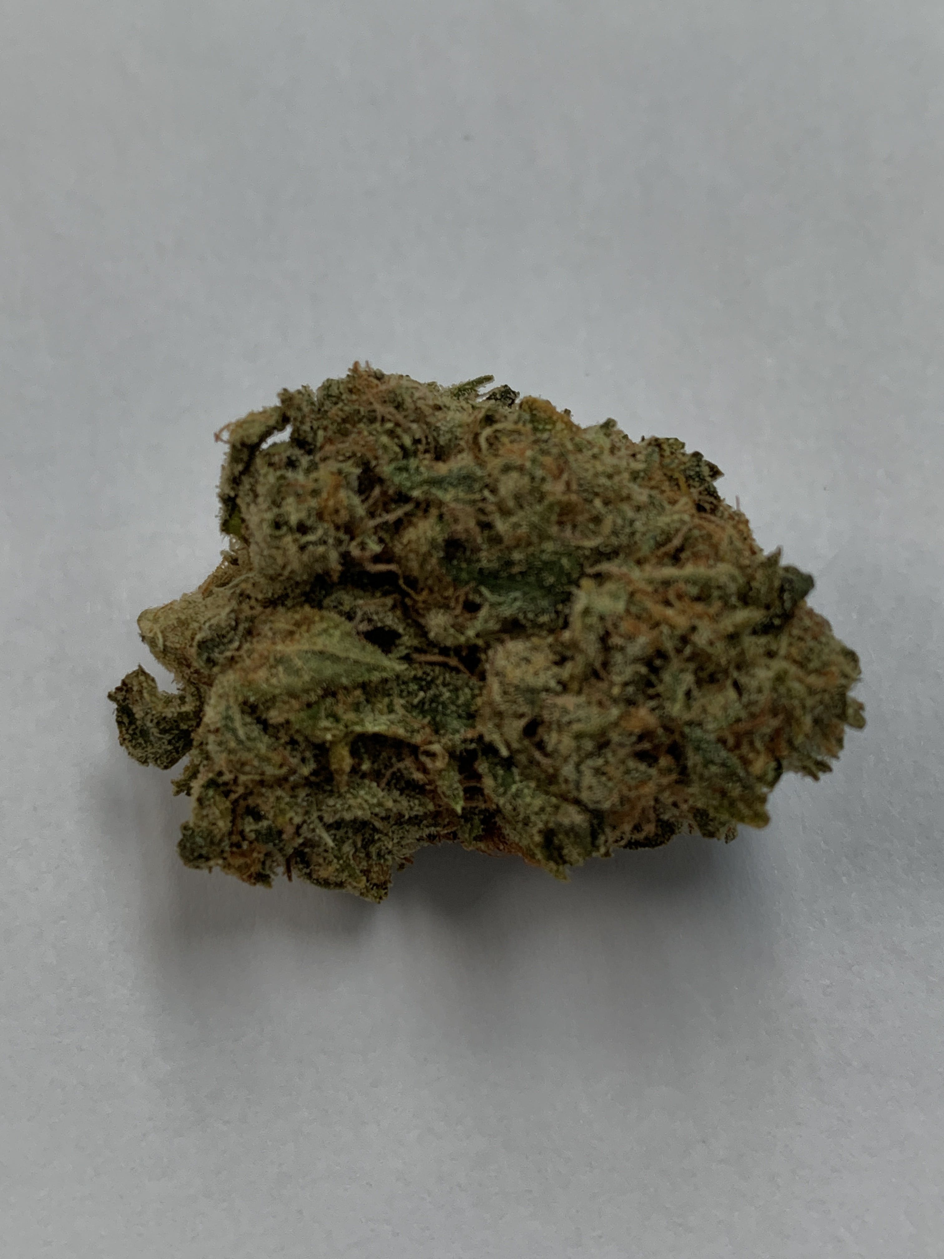 indica-special-barracuda-6g-for-2435