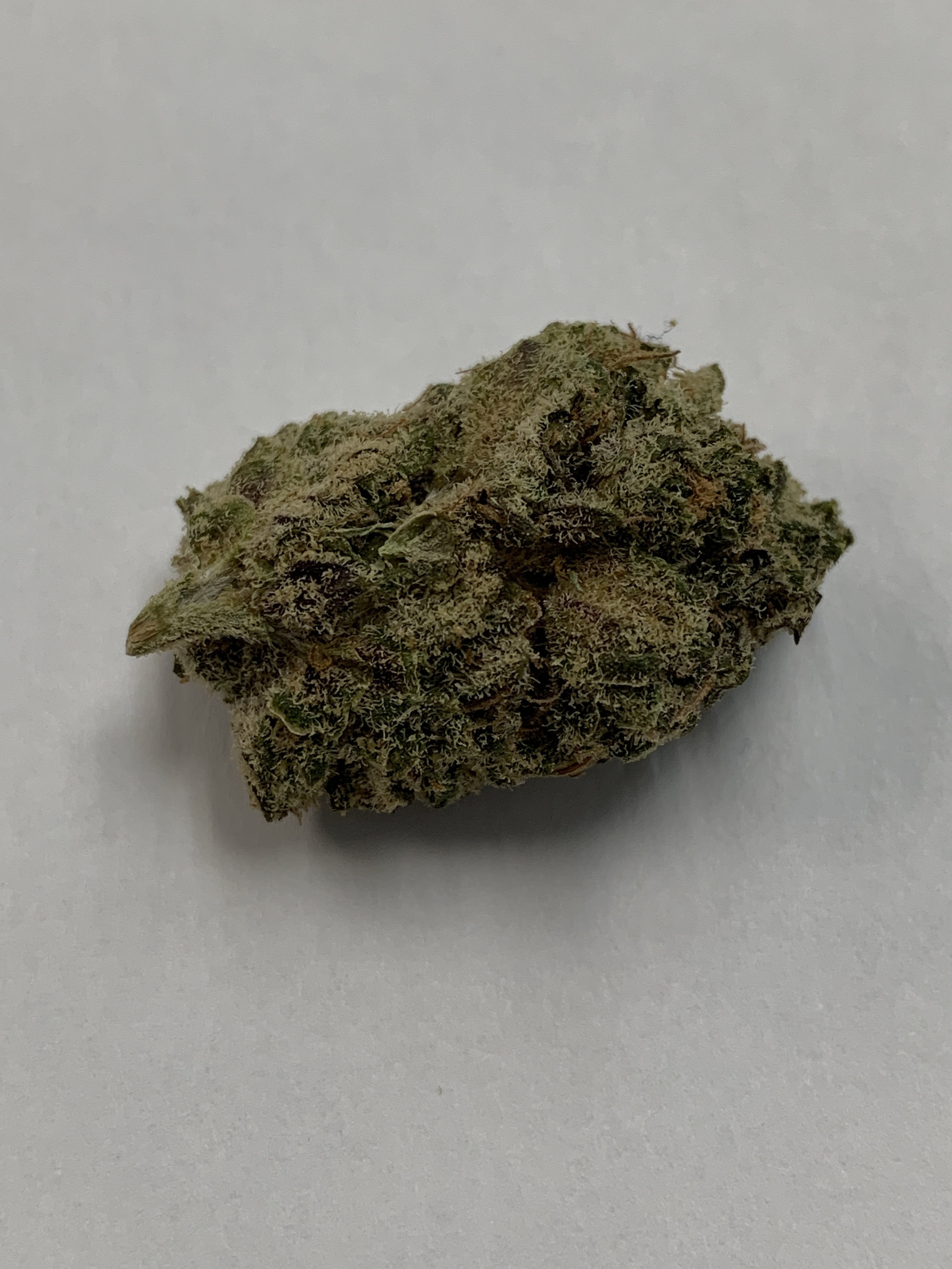 hybrid-special-girl-scout-cookies-6g-for-2445