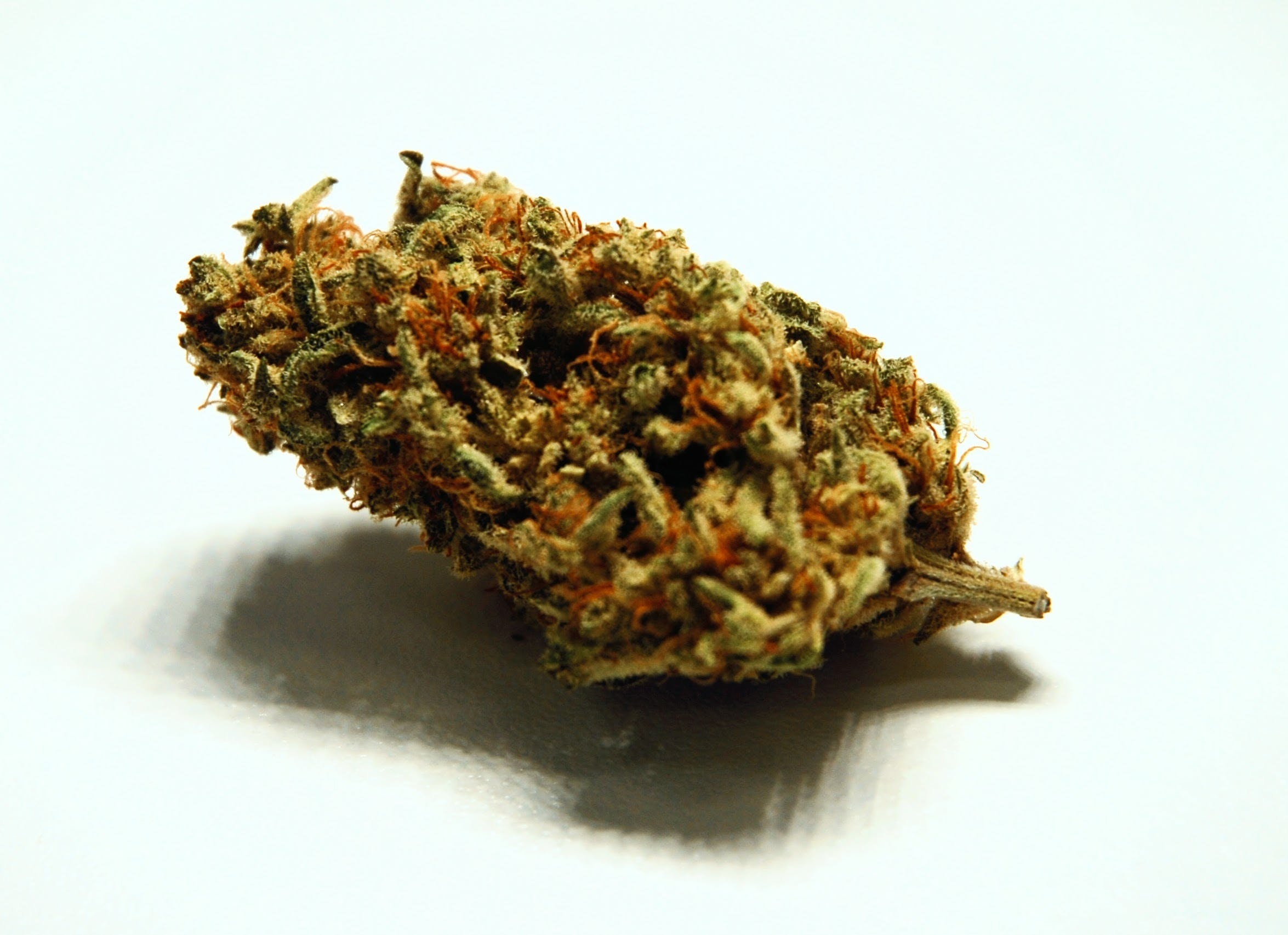 marijuana-dispensaries-mass-wellspring-temp-closed-in-acton-special-kush