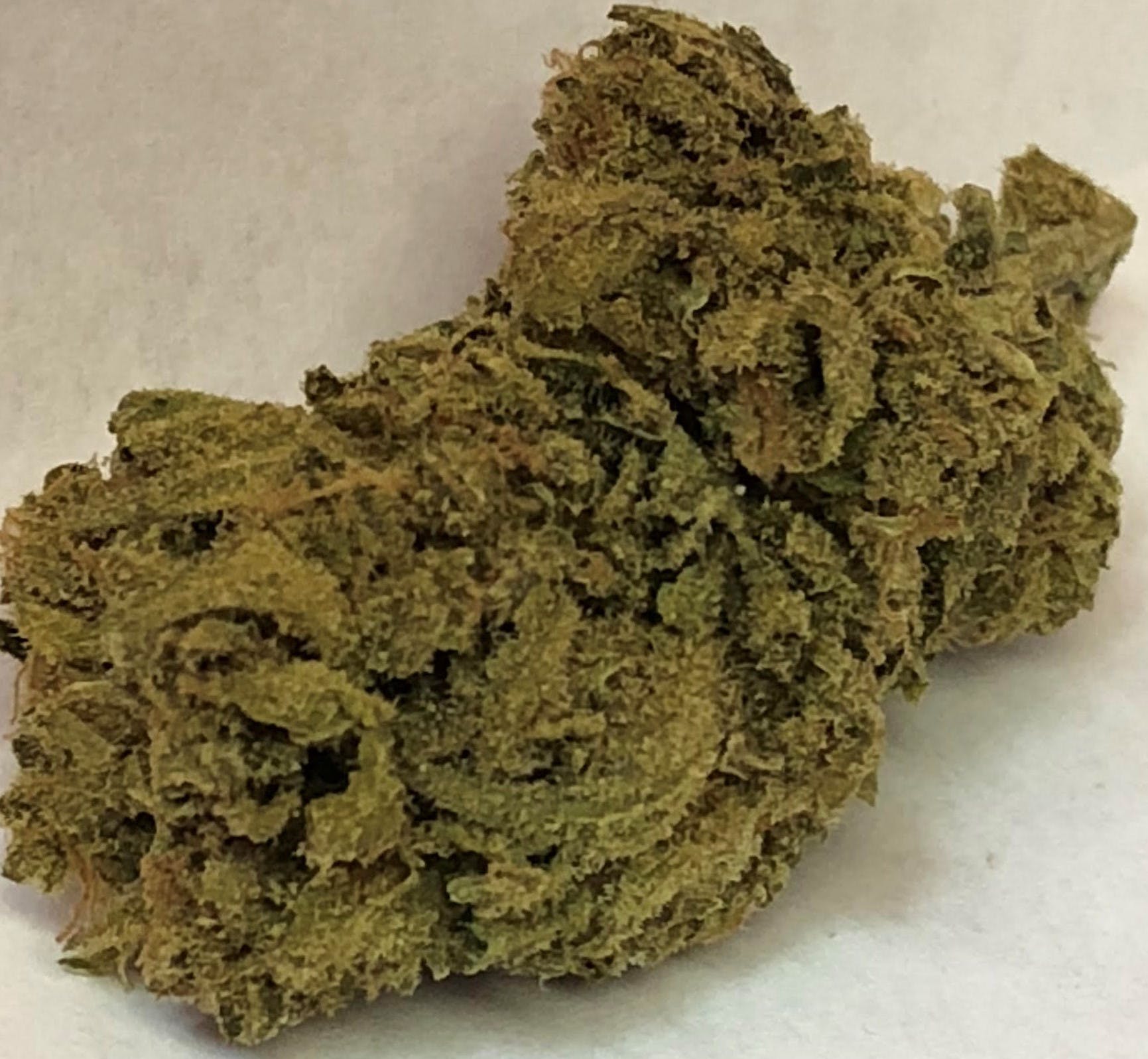 sativa-special-sour-circles-14g-40-2450-or-28g-40-24100