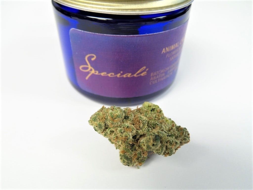 marijuana-dispensaries-8440-enterprise-way-oakland-speciale-animal-crackers