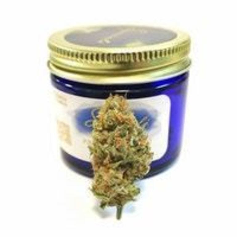 marijuana-dispensaries-6925-blair-road-nw-washington-speciale-pineapple-sorbet-sale