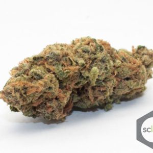 SPECIALS - Girl Scout Cookies [5 @ $30]