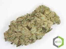 marijuana-dispensaries-2077-harbor-blvd-unit-a-costa-mesa-specials-glue-239-5g-40-2420