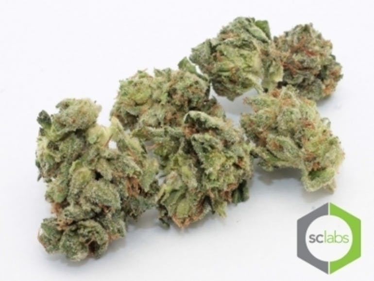 marijuana-dispensaries-2077-harbor-blvd-unit-a-costa-mesa-specials-kreacher-og-5g-40-2430